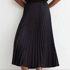 Pleated Maxi Skirt